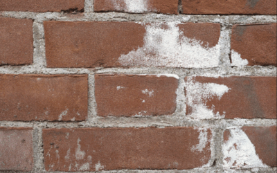 Understanding Efflorescence: What That White Powder on Your Building Really Means